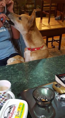 17349791 1479855182065032 3503470325500711718 o