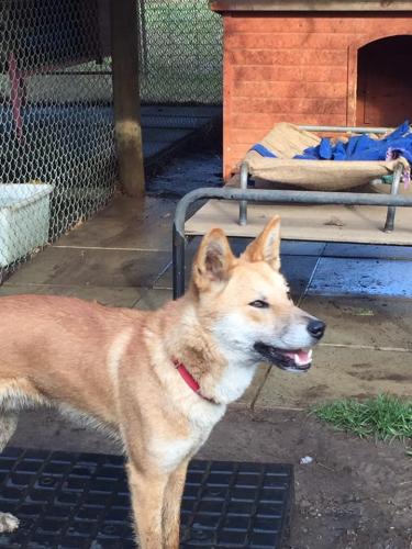 18425352 1548777475172802 6789964868731591969 n