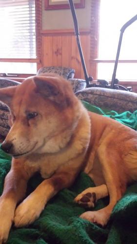 12022485 1027833163933905 5931870745369065213 o 1027833163933905