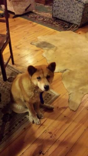 1512317 740878262629398 6882560741934939436 n 740878262629398