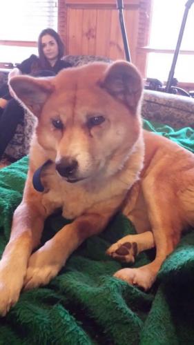 1907383 766999483350609 6111012355721814831 n 766999483350609