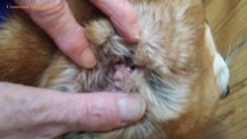 19437688 1601959243187958 742060987454888994 n 1601959243187958