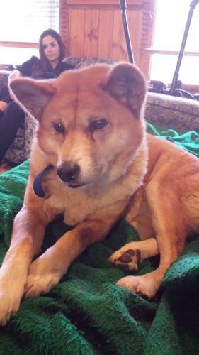 19467642 1601959846521231 4482687834633086186 o 1601959846521231