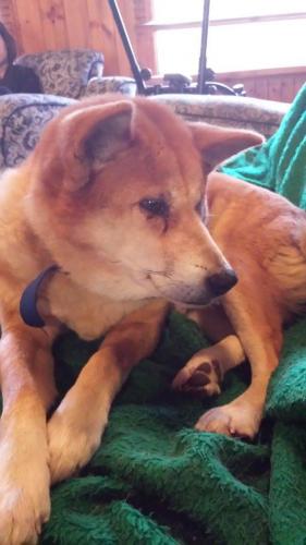 19477391 1601959926521223 3083393011595853569 o 1601959926521223