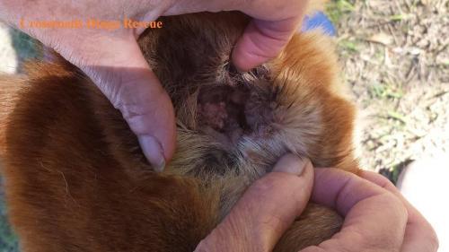 19477617 1601959746521241 4057253058052628406 o 1601959746521241