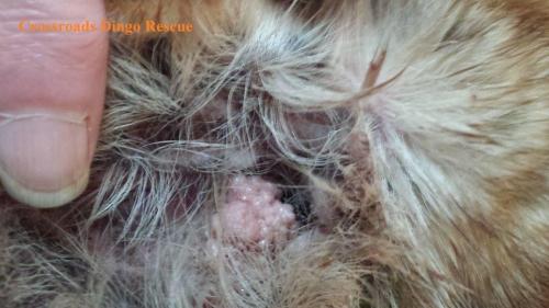 19477762 1601959823187900 414504946589015228 o 1601959823187900