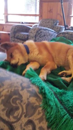 19510086 1601959253187957 5645550561037891291 n 1601959253187957